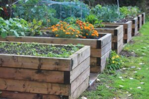 How Can The Raised Garden Beds Help You Save Up Long-Term?